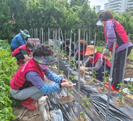 [지역권익] 5월 마을공동체활동 ...